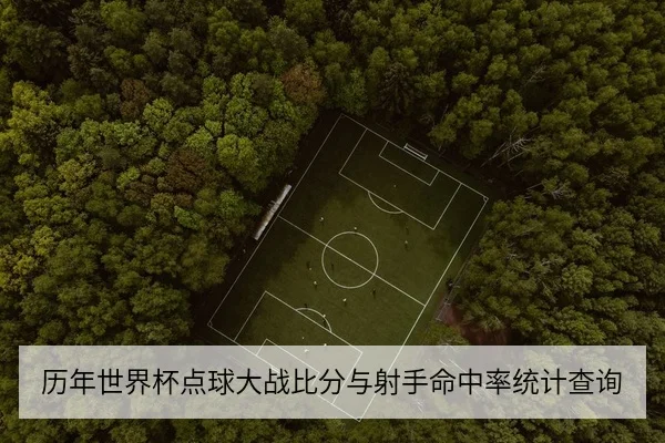 历年世界杯点球大战比分与射手命中率统计查询
